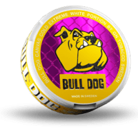 bull dog canvas cold extreme white portion