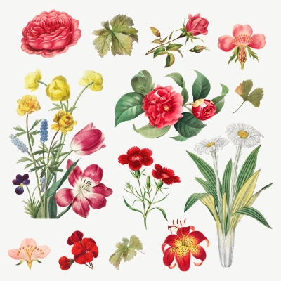 floral category