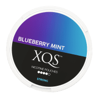 Buy XQS Blueberry Mint Strong Slim Online