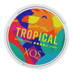 xqs tropical nicotine pouches