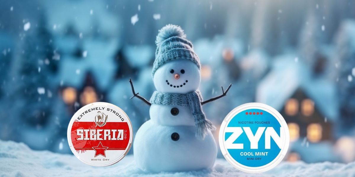 nicotine pouches snus and winter